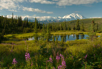 Beautiful Denali