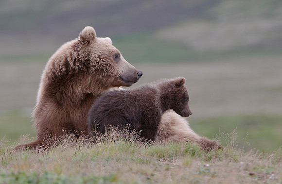 Hanging with Mom