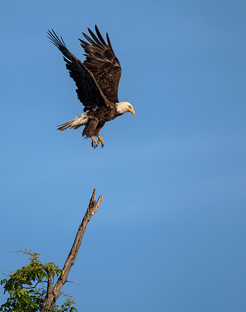 Lift off