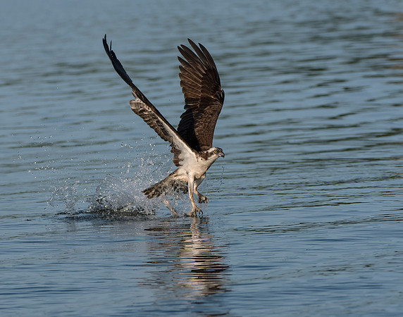 Take off
