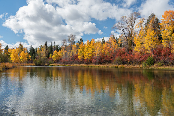 Fall reflections in the Tetons