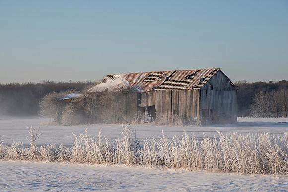 Slaughter Pen Winter Morning. Barn collapsed and is gone.