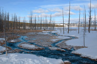 Braided River in Yellowstone