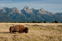 An iconic image of the Old West