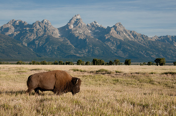 An iconic image of the Old West