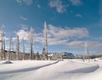 Beautiful snow drifts and trees
