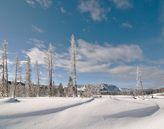 Beautiful snow drifts and trees