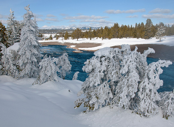 Yellowstone Snow ghost