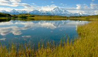 Denali reflections