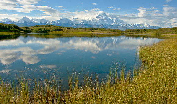 Denali reflections