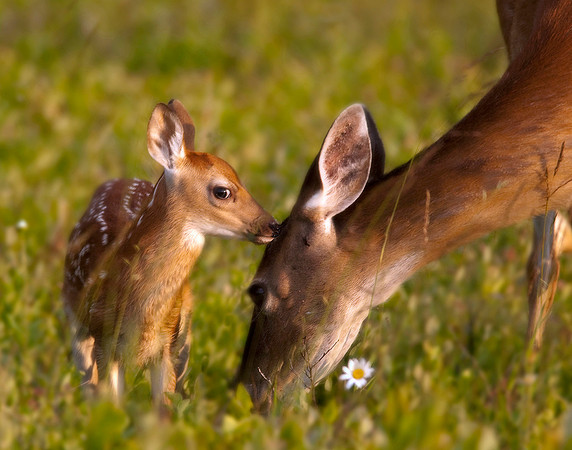 Tender moment
