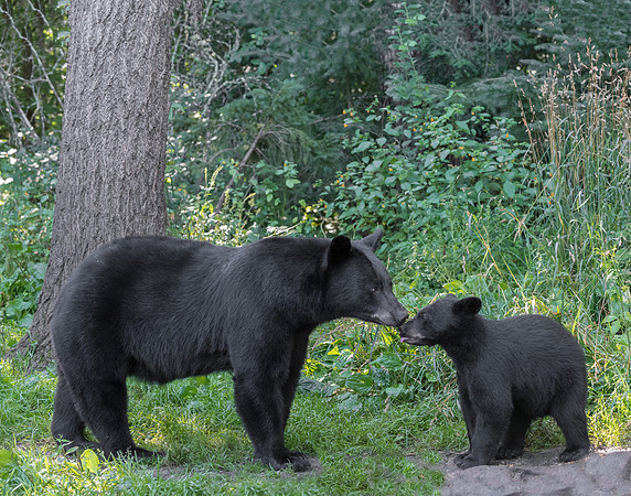 Tender Moment