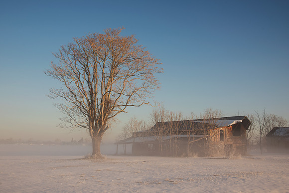 Winter at Slaughter Pen II
